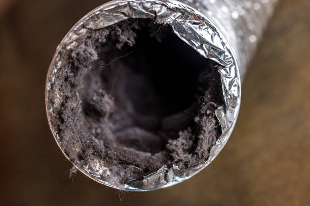 Air Duct Mold Removal in PA